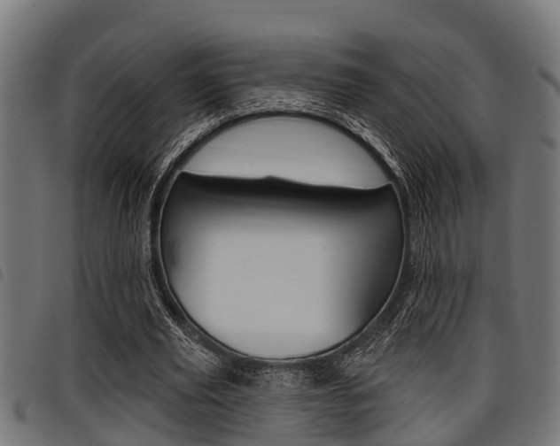 X0000098010629200803280731