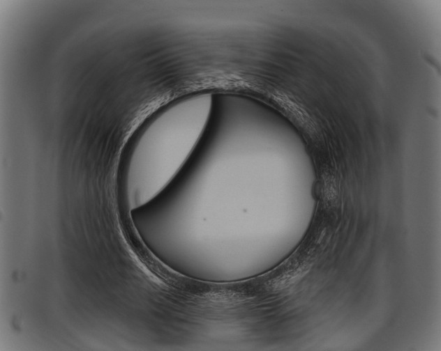 X0000098010630200803280731