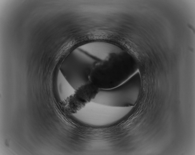 X0000098010631200803280731