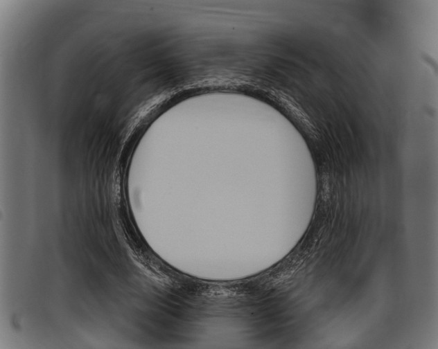 X0000098010632200803280731
