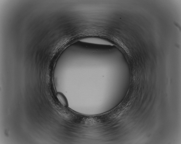 X0000098010635200803280731