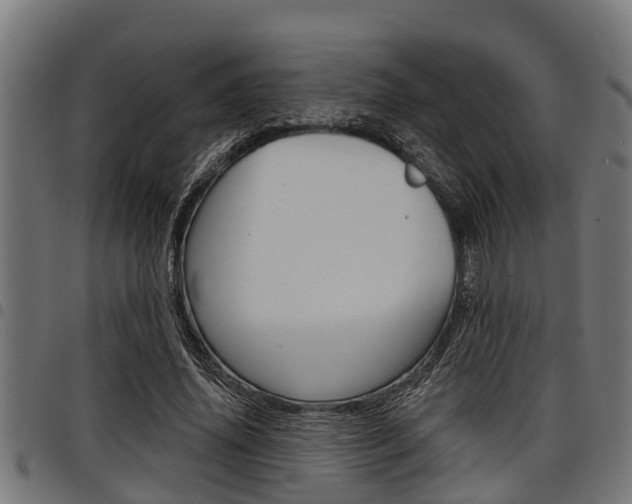X0000098010636200803280731