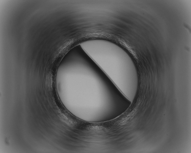 X0000098010637200803280731