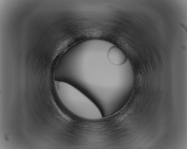 X0000098010638200803280731