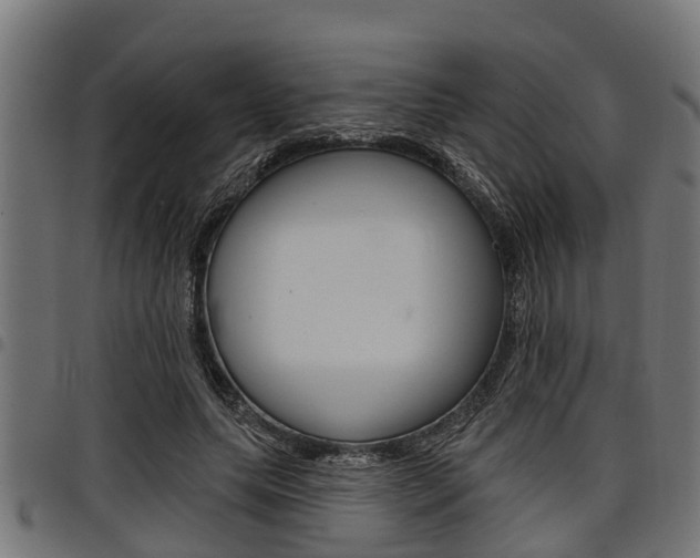 X0000098010639200803280731