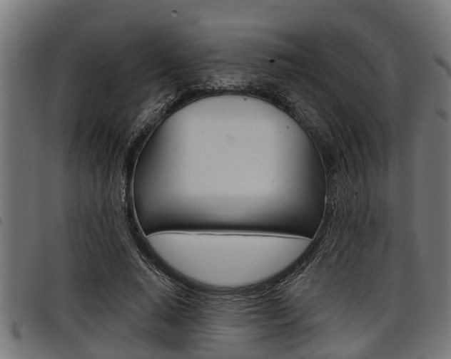 X0000098010640200803280731