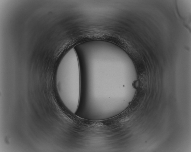 X0000098010642200803280731