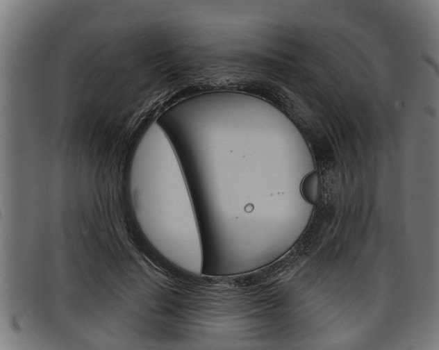 X0000098010644200803280731