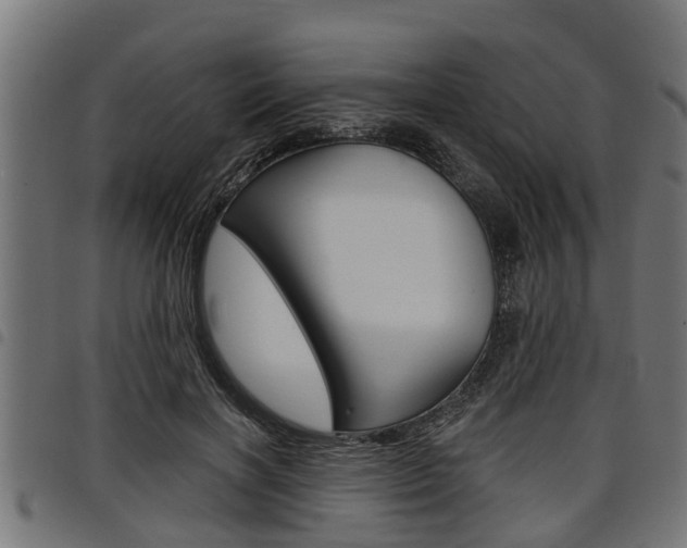 X0000098010646200803280731
