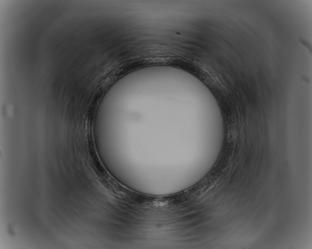 X0000098010647200803280731