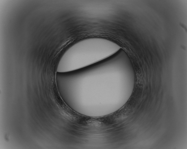 X0000098010648200803280731