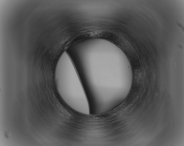 X0000098010650200803280731