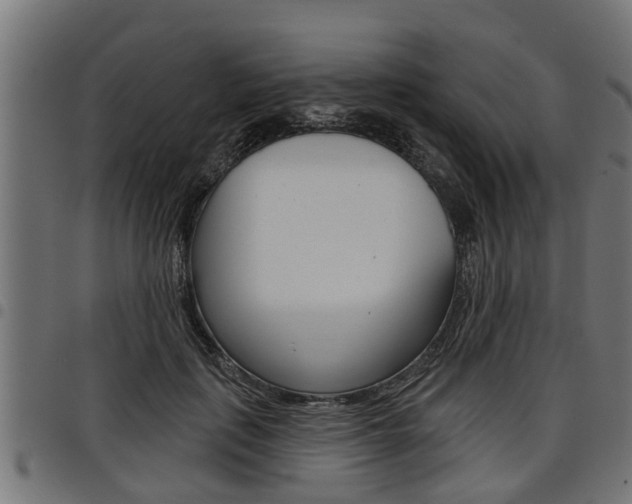 X0000098010651200803280731