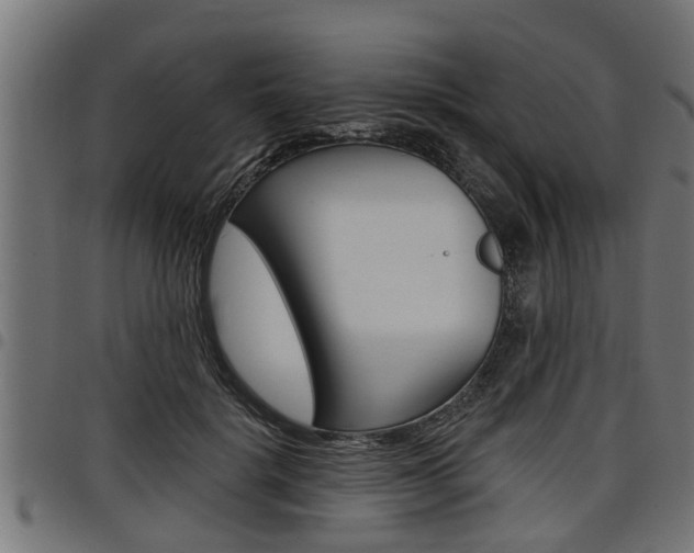 X0000098010652200803280731