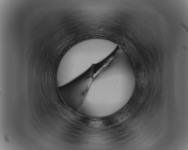 X0000098010653200803280731