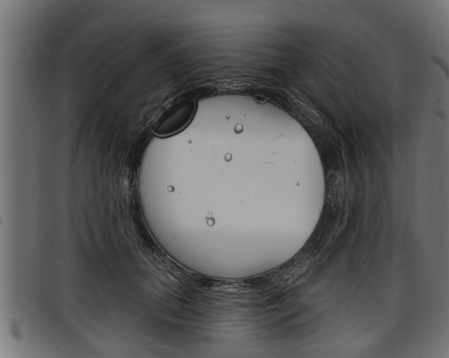 X0000098010655200803280731