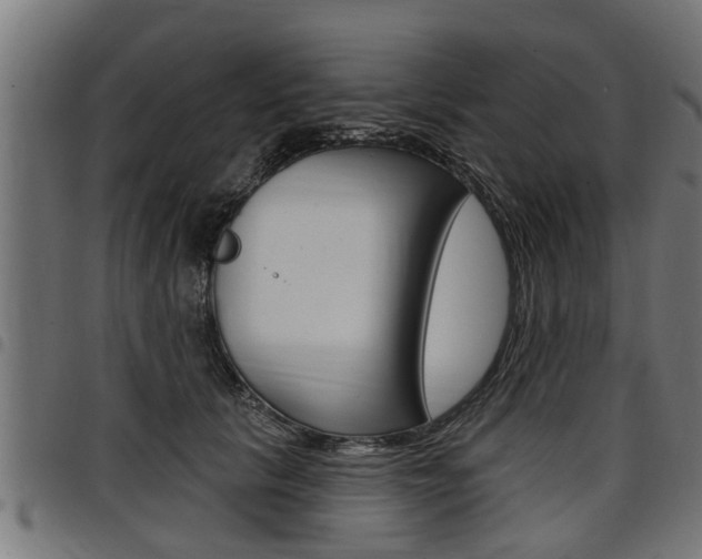 X0000098010657200803280731