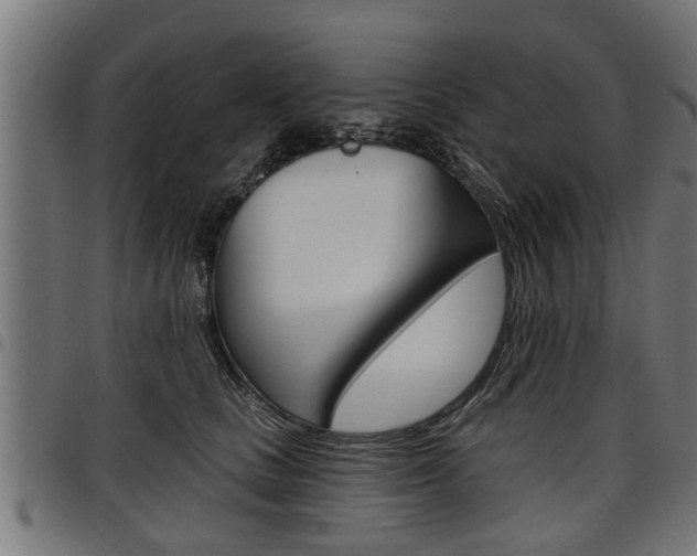 X0000098010661200803280732
