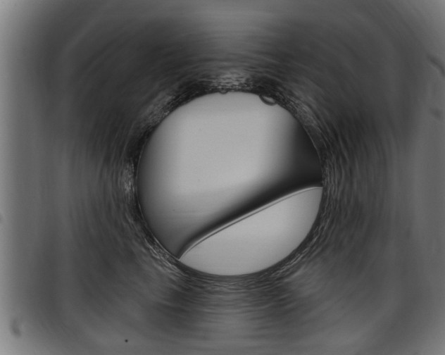 X0000098010665200803280732