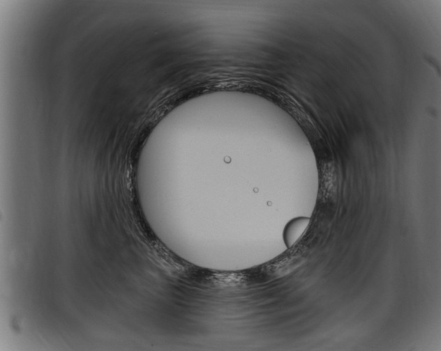 X0000098010667200803280732