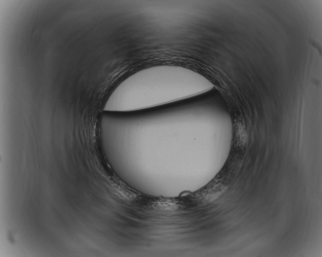 X0000098010668200803280732