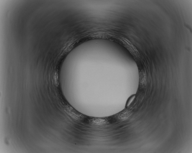 X0000098010669200803280732