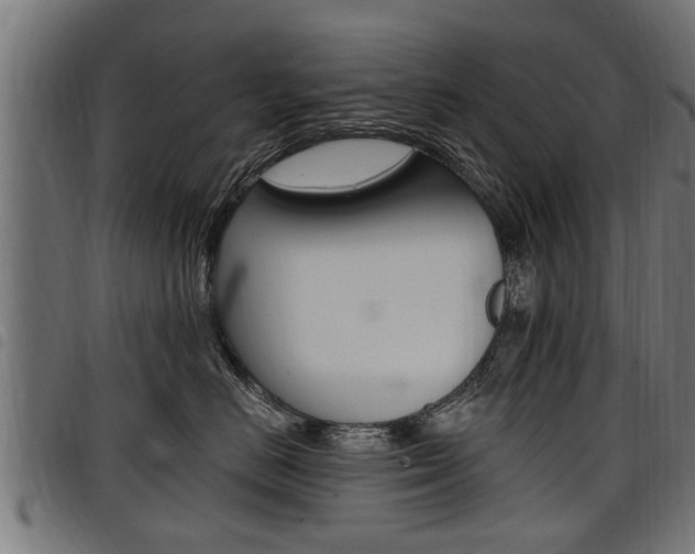 X0000098010670200803280732