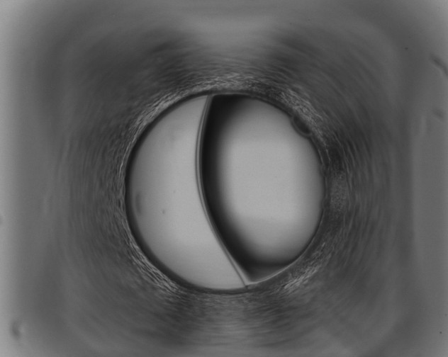 X0000098010673200803280731