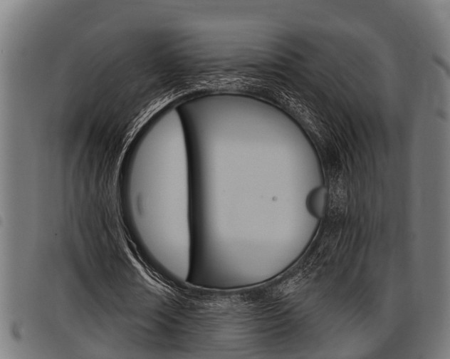X0000098010674200803280731