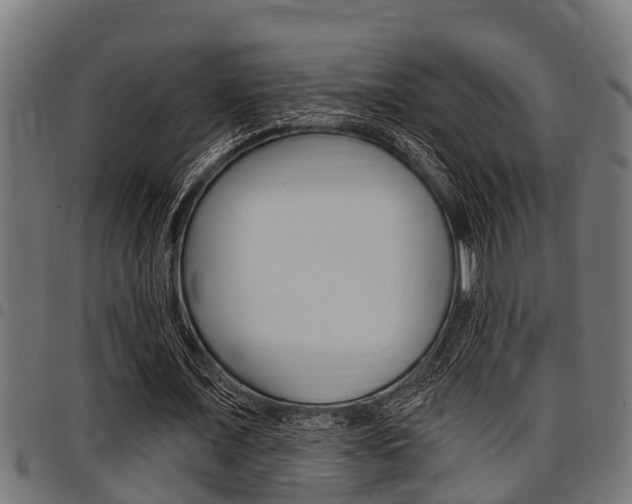 X0000098010675200803280731