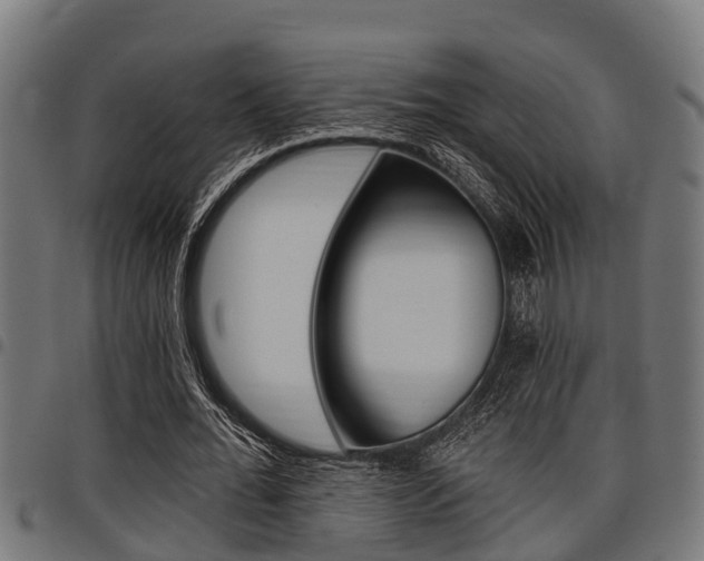 X0000098010676200803280731