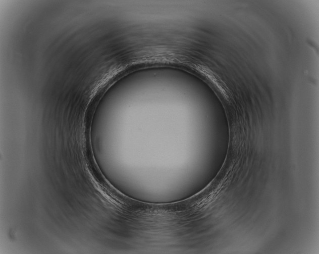 X0000098010677200803280731