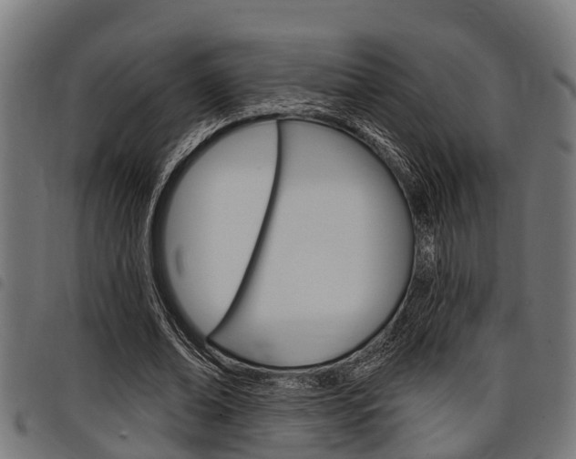 X0000098010678200803280731