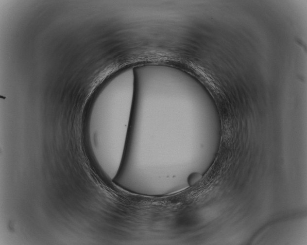 X0000098010679200803280731