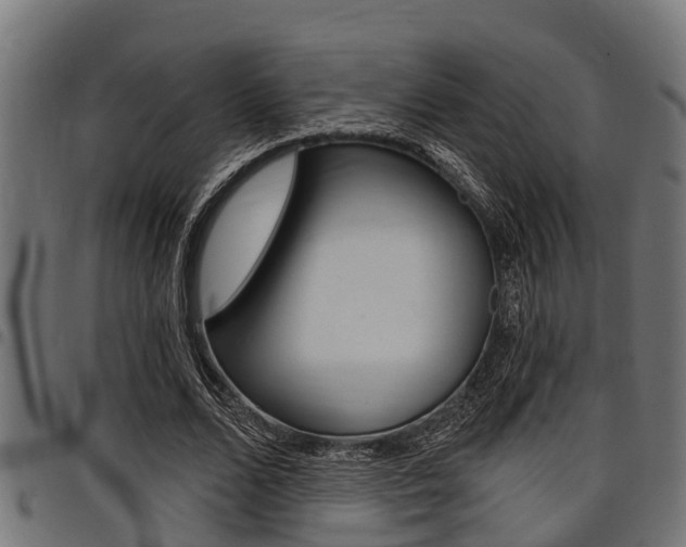 X0000098010680200803280731