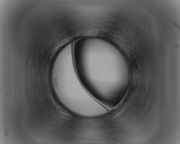 X0000098010681200803280731