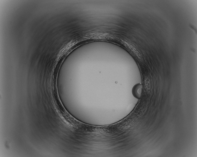 X0000098010682200803280731