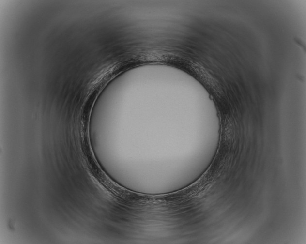 X0000098010683200803280731