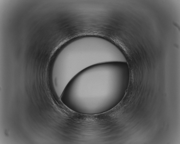X0000098010684200803280731