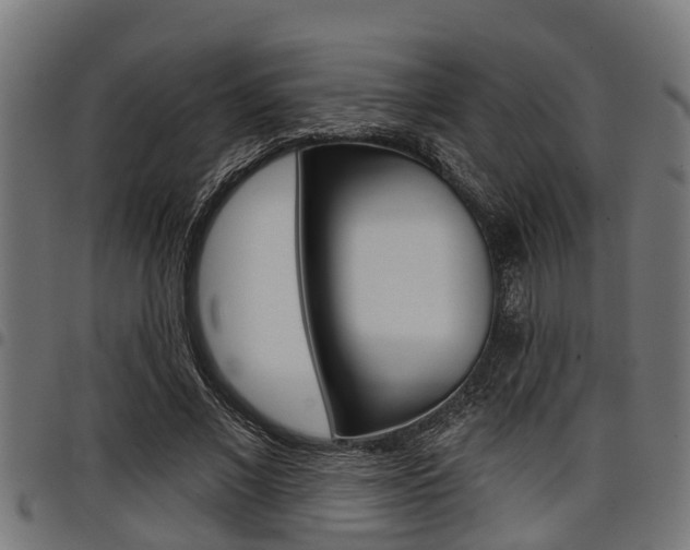 X0000098010685200803280731