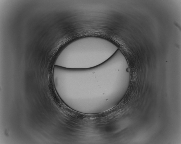 X0000098010687200803280731