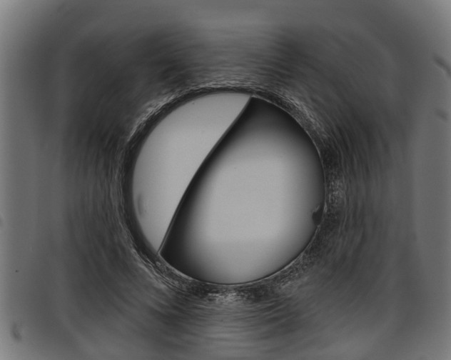 X0000098010688200803280731