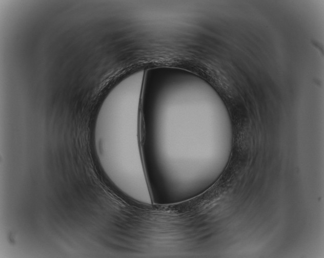 X0000098010689200803280731