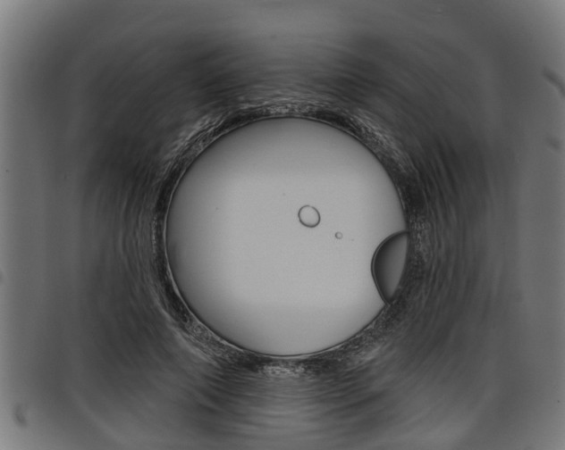 X0000098010690200803280731