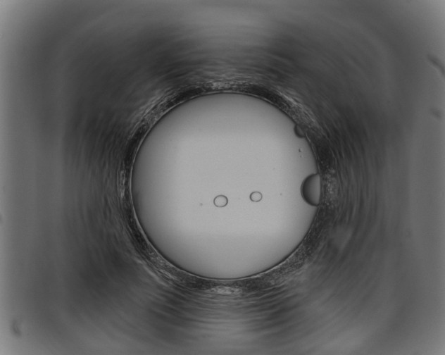 X0000098010691200803280731