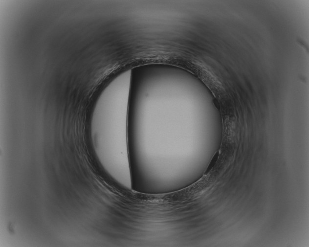 X0000098010692200803280731