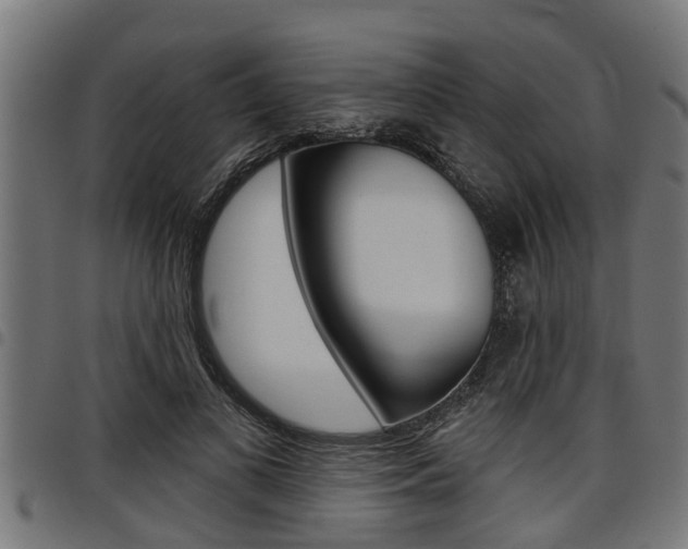 X0000098010693200803280731