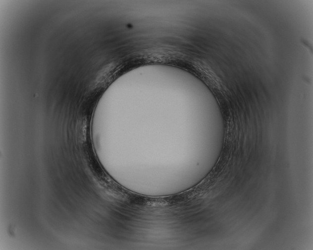 X0000098010694200803280731