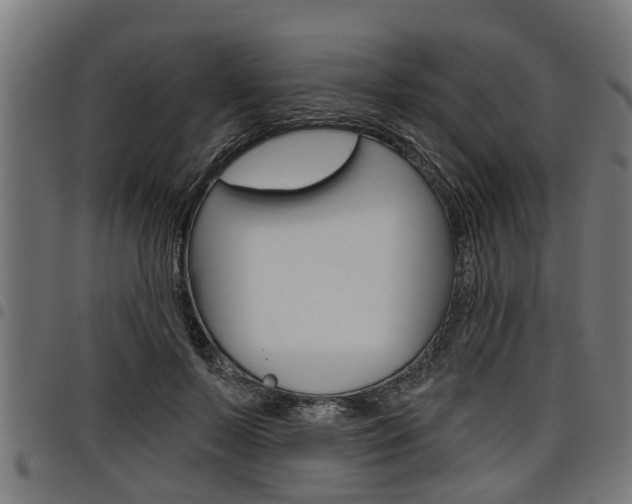 X0000098010695200803280731