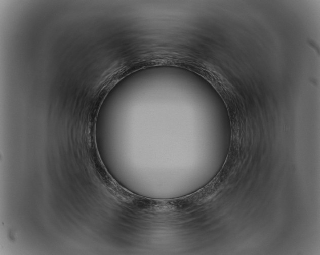 X0000098010696200803280731
